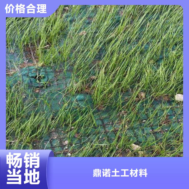 植生椰丝毯厂家-公司供应