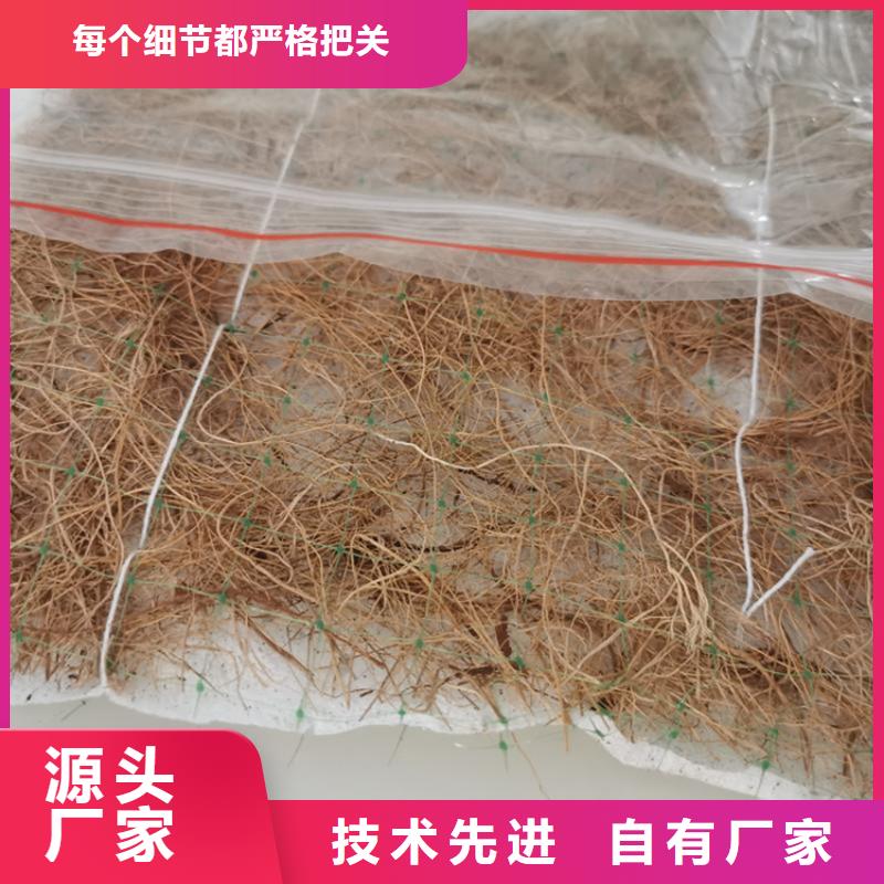 抗冲刷生态毯-椰丝植被垫