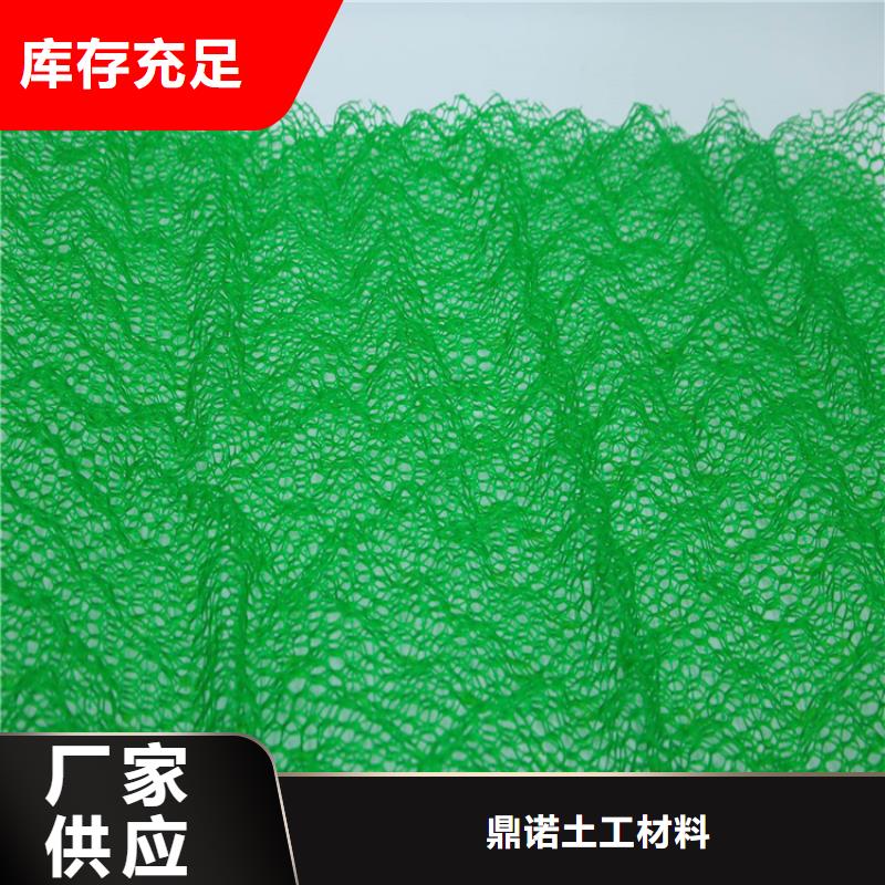 批发(鼎诺)塑料草皮三维植被网