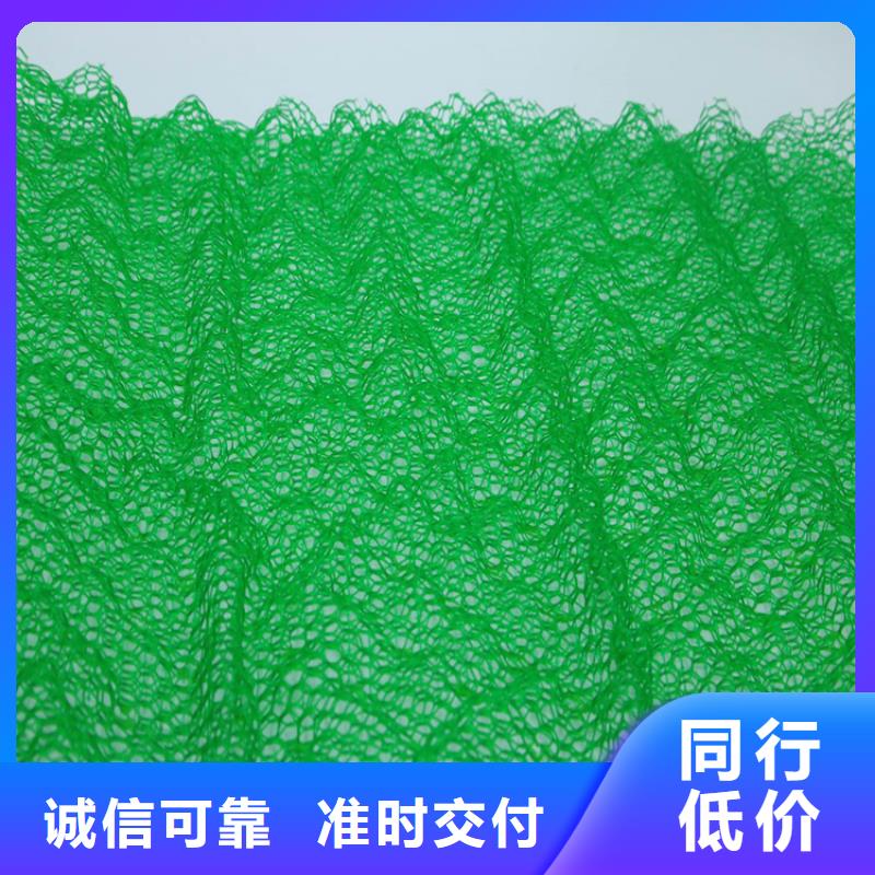 好产品价格低【鼎诺】三维固土网垫EM5三维加筋网垫