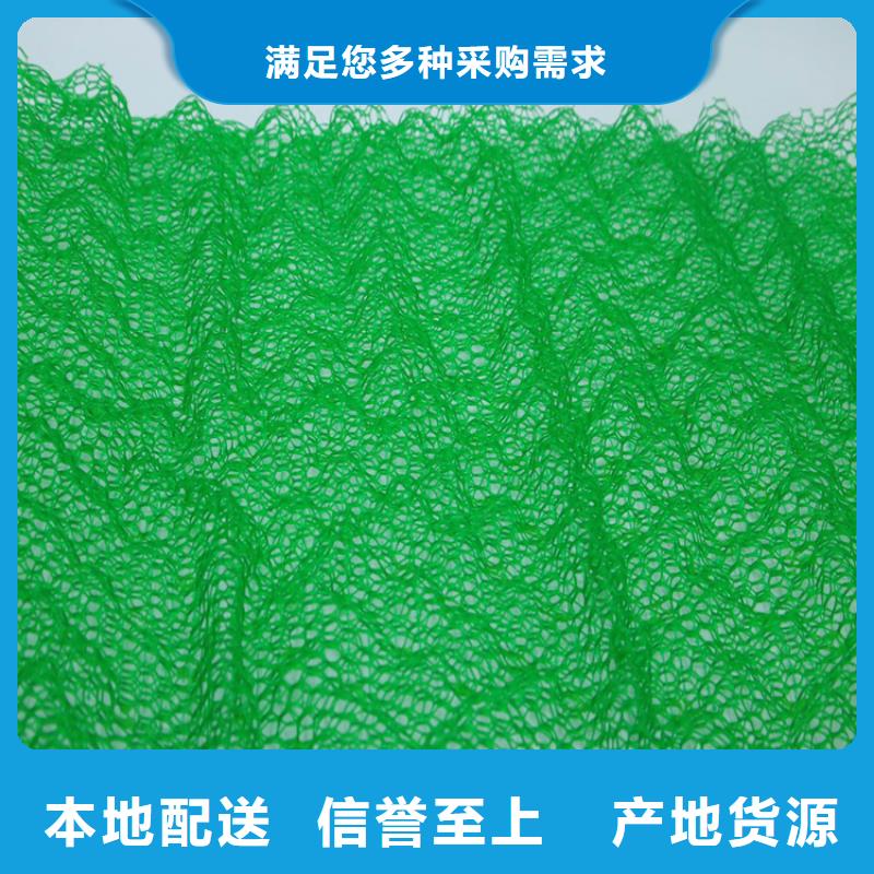 超产品在细节【鼎诺】三维植被网膨润土防水毯安装简单
