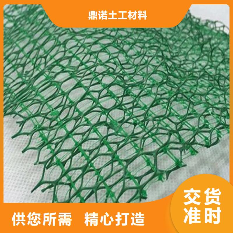 精工打造(鼎诺)三维土工网垫-三维植被网