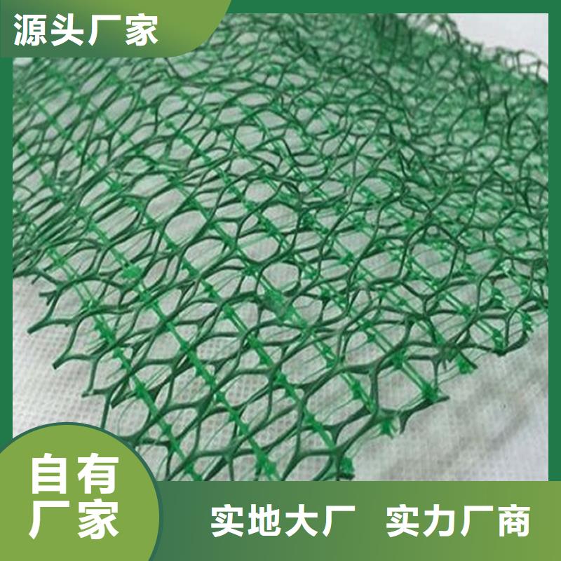 超产品在细节【鼎诺】三维植被网膨润土防水毯安装简单