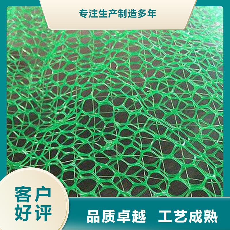 EM5三维加筋网垫-加筋三维土工网垫