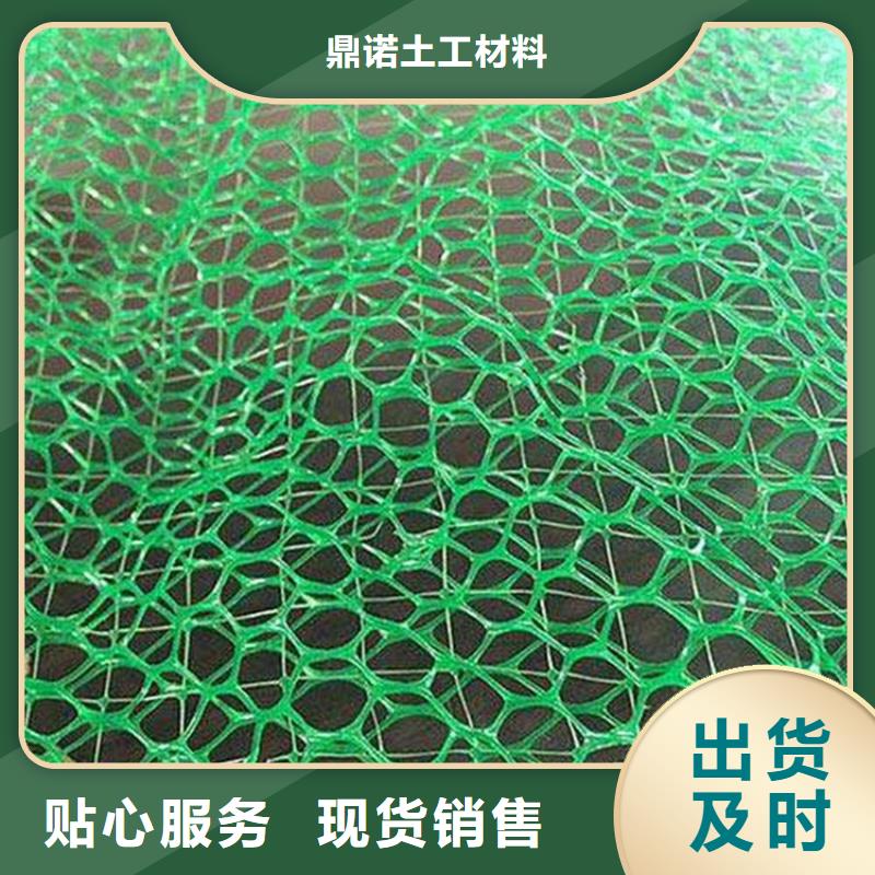 现货快速采购(鼎诺)三维土工网垫-EM2三维植被网