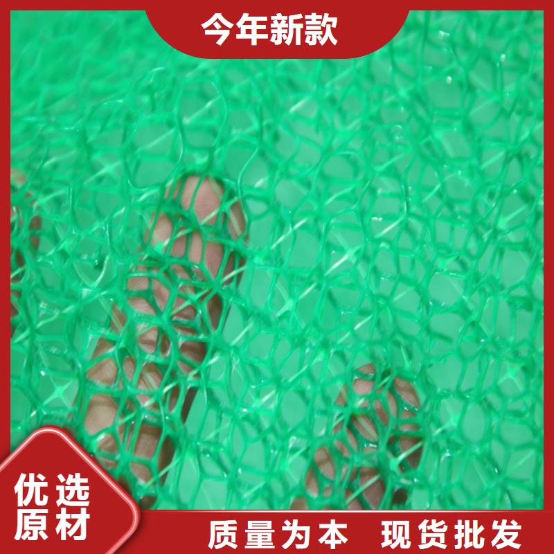 精工打造(鼎诺)三维土工网垫-三维植被网