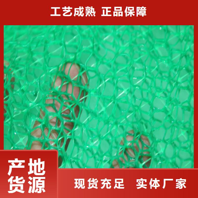 同城(鼎诺)EM5三维护坡植草网垫-绿色三维土工网垫