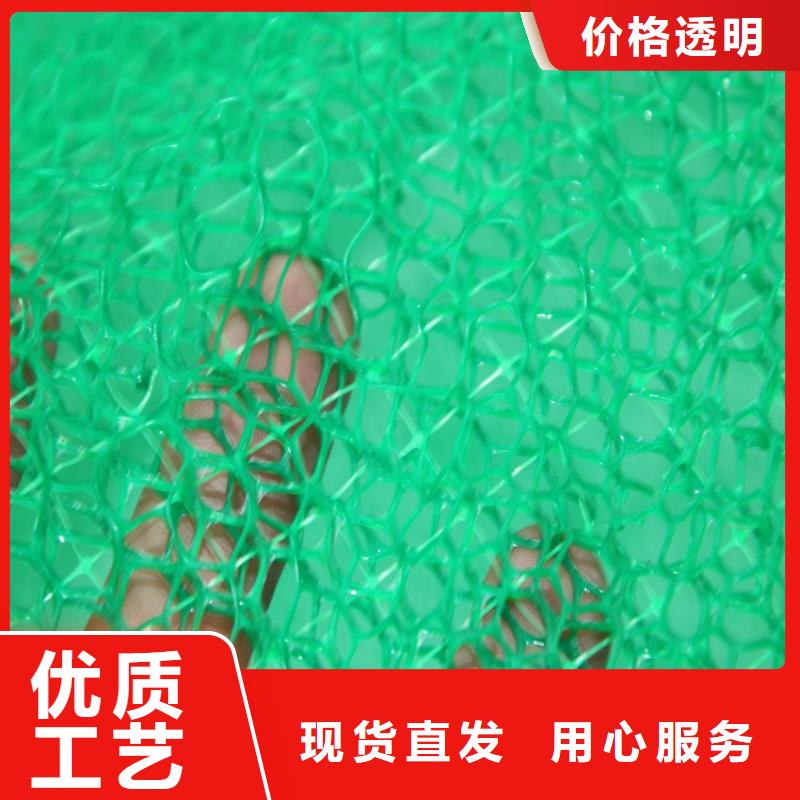 批发(鼎诺)塑料草皮三维植被网
