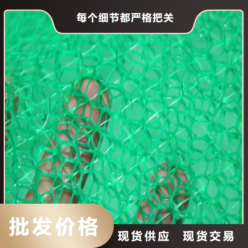 现货快速采购(鼎诺)三维土工网垫-EM2三维植被网