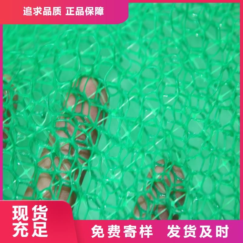 咨询[鼎诺]三维植被网-EM3三维固土网垫