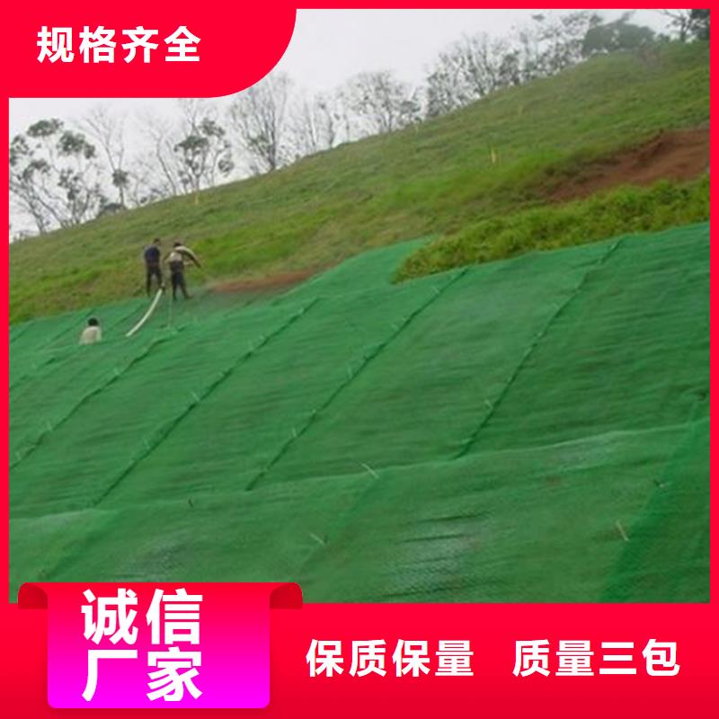 同城[中齐]三维植草护坡网垫-3层4层三维植被网价格详情