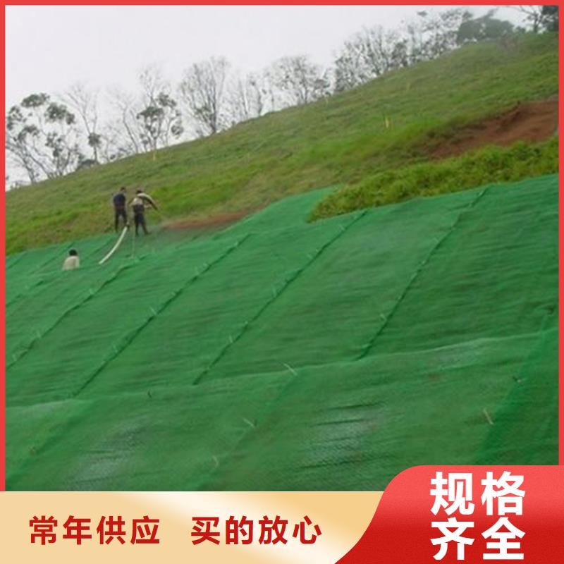 采购(中齐)绿化加筋三维护坡植被网垫