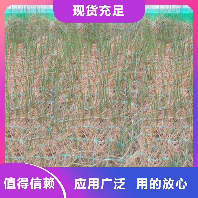 植生椰丝毯-铁路植生毯-植生椰垫