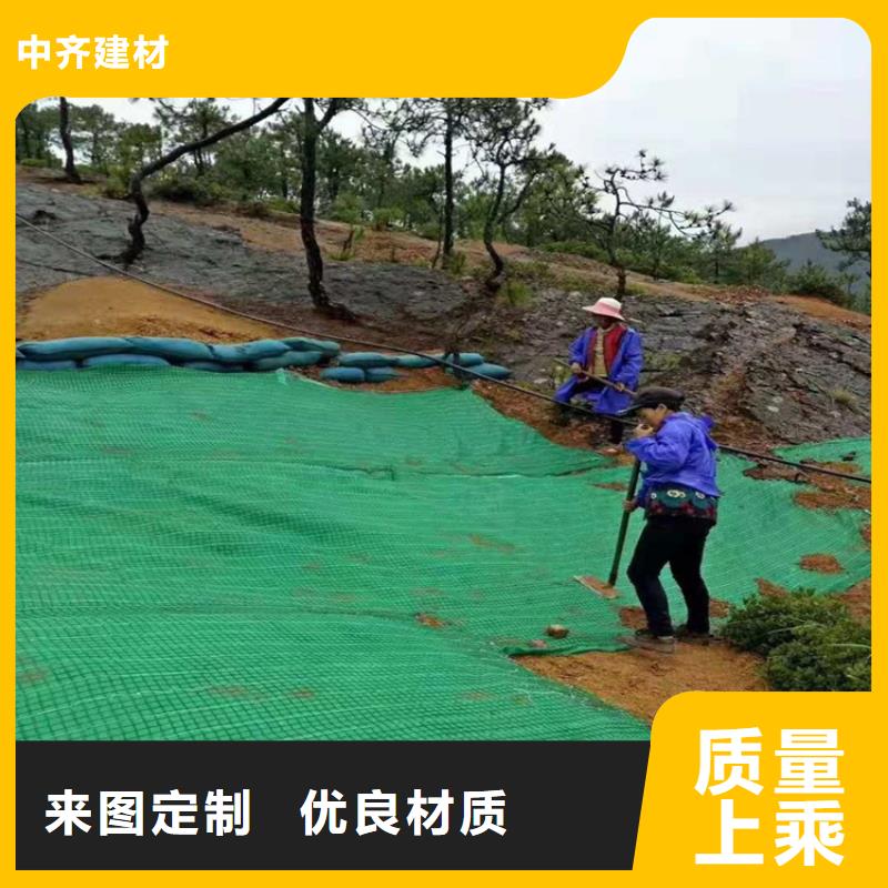 椰纤植生毯-加筋抗冲生物毯-椰丝生态毯