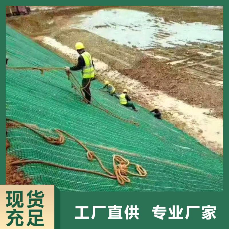 加筋抗冲生物毯