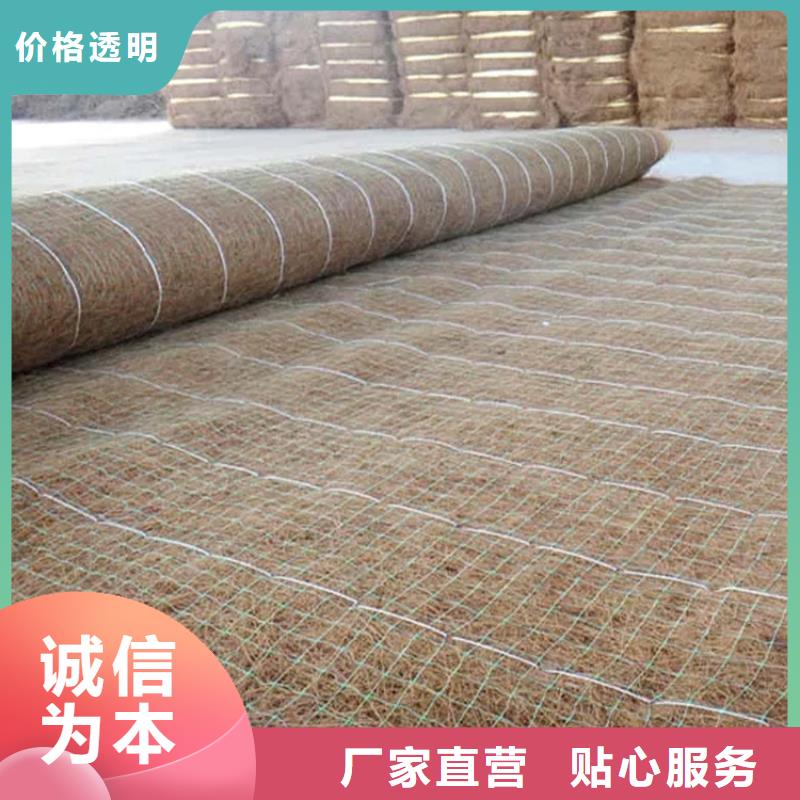 椰纤植生毯-护坡植被植草毯