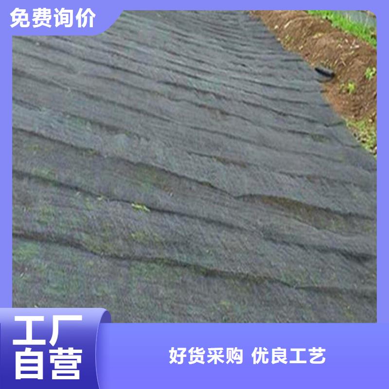 周边[中齐]水土保护毯防渗膜品质可靠