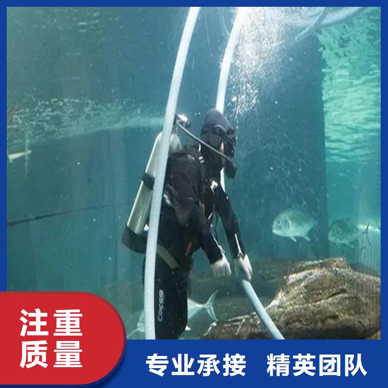 水下录像团队