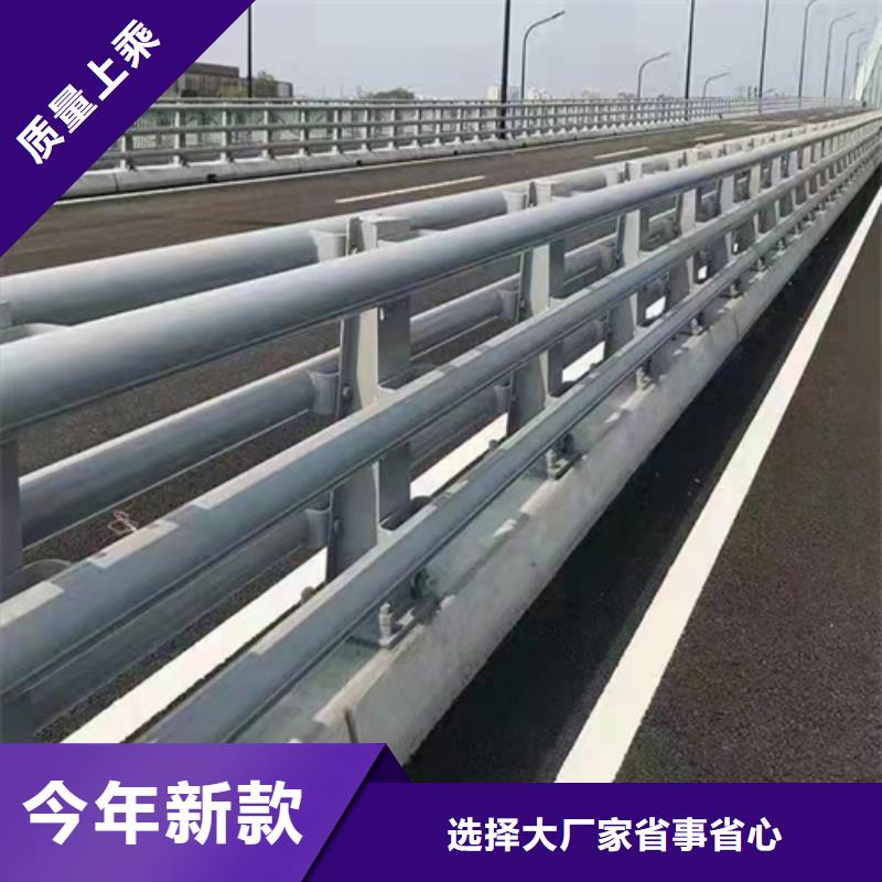 道路护栏来厂考察