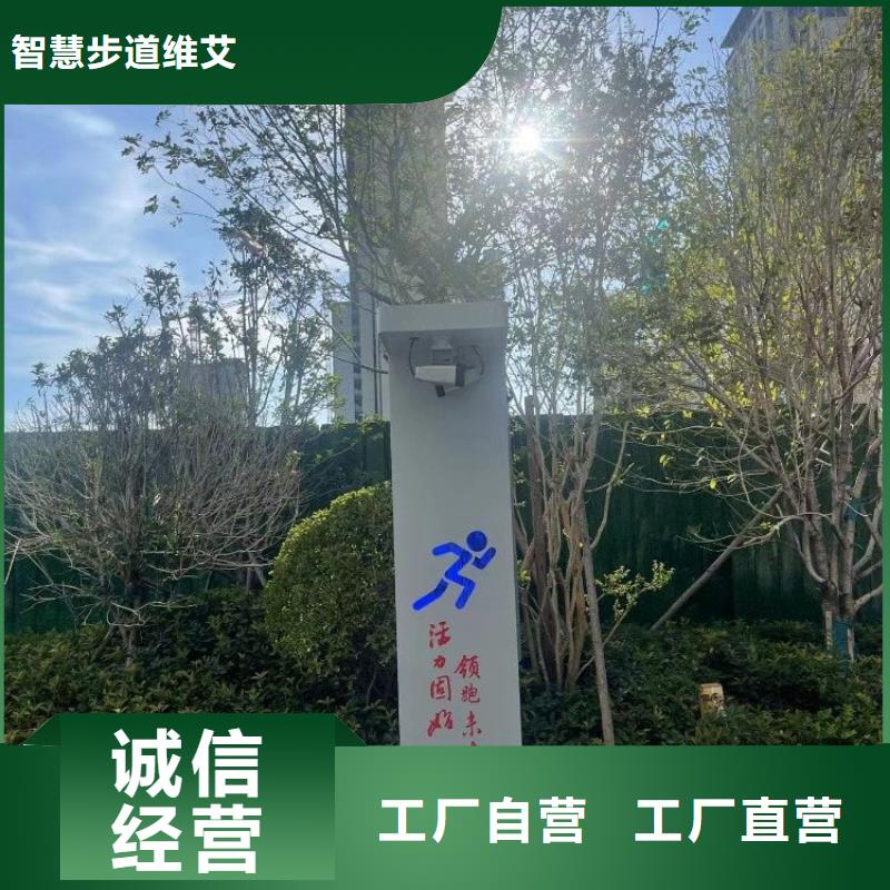 智慧跑道厂家（维艾狄尔）