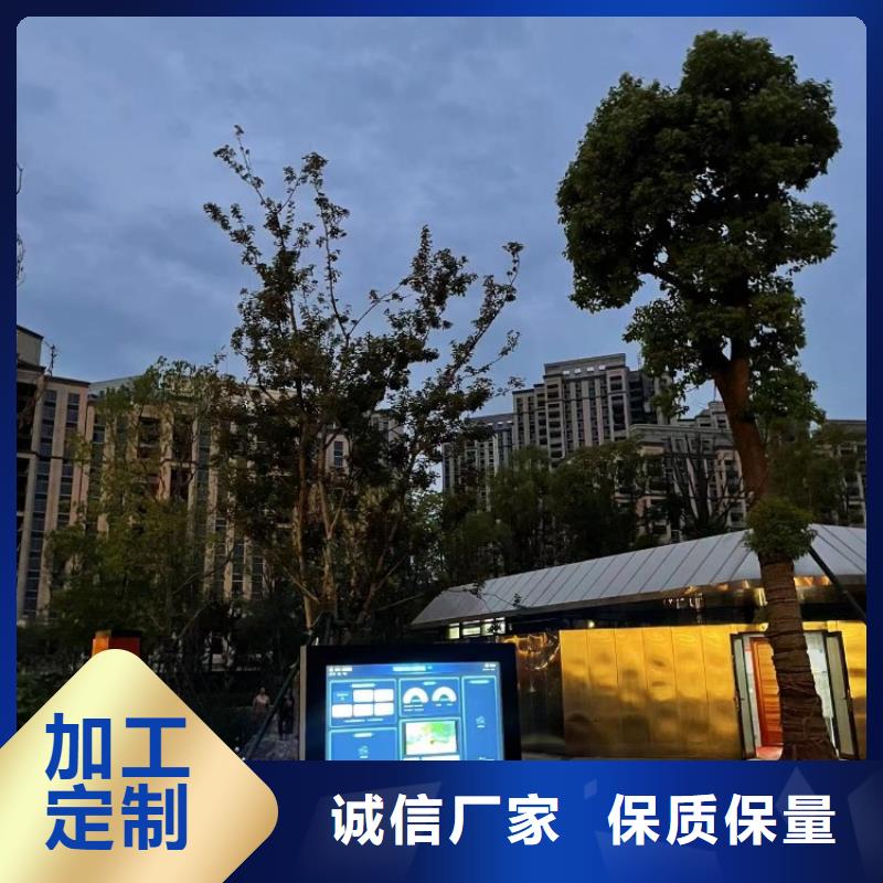 智能步道方案厂家（维艾狄尔）