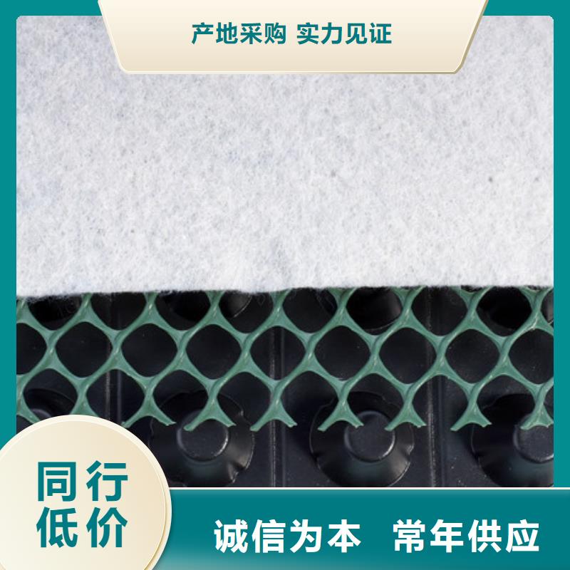 购买(朋联)塑料排水板工厂直营店@欢迎咨询
