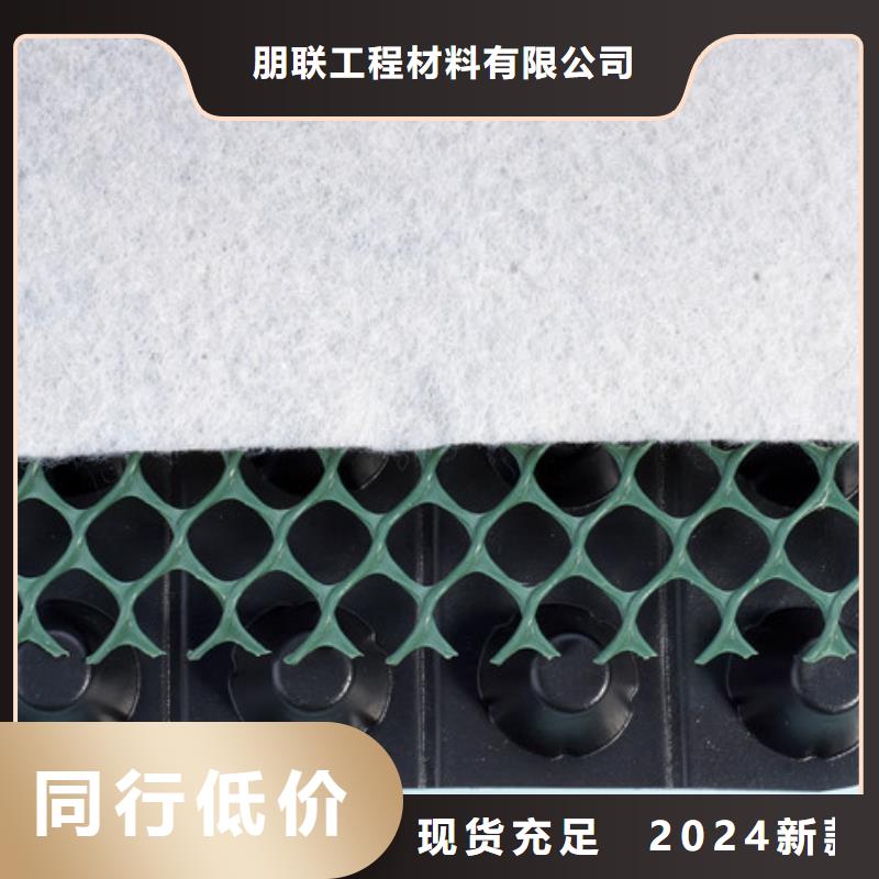 实体厂家支持定制【朋联】塑料排水板-全国发售