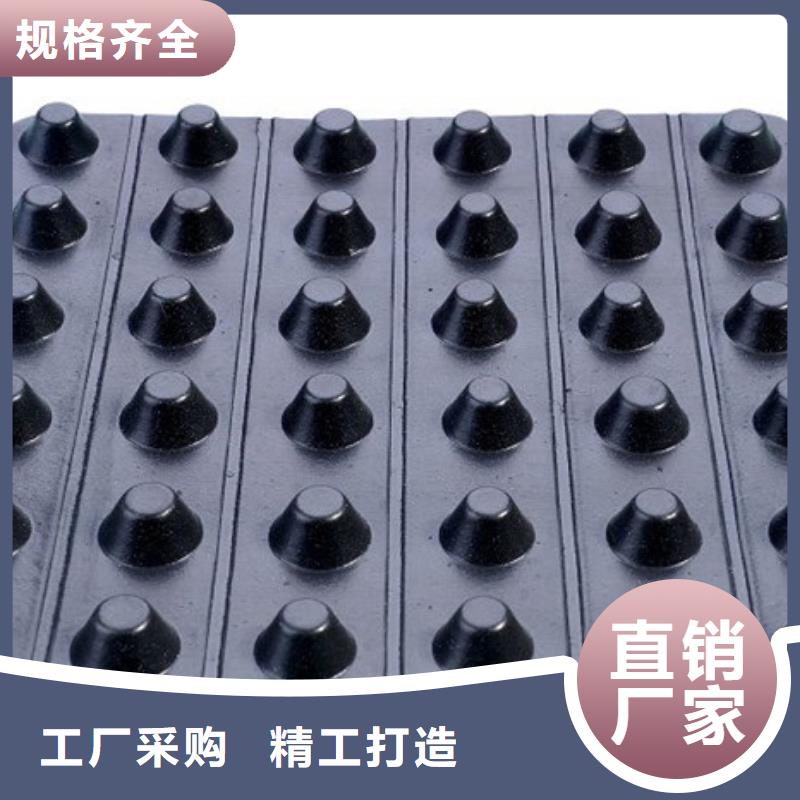 实体厂家支持定制【朋联】塑料排水板-全国发售