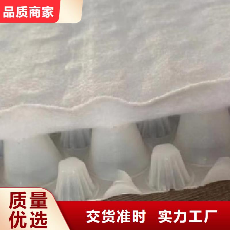 虹吸排水排水板产地批发