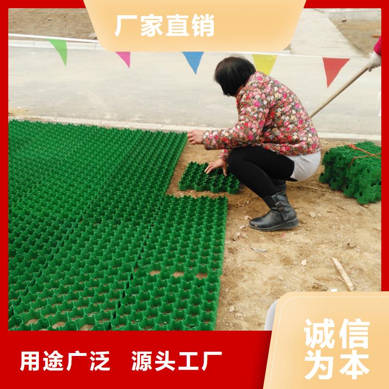 塑料植草格产品-批发零售