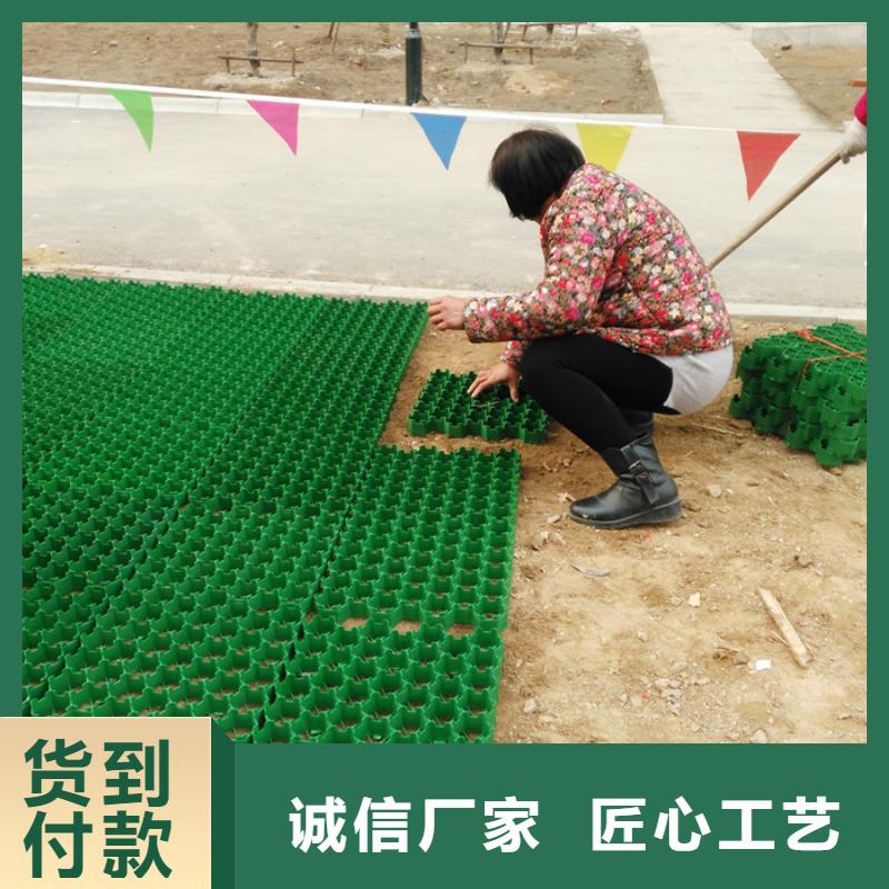 停车场植草格厂家代理商