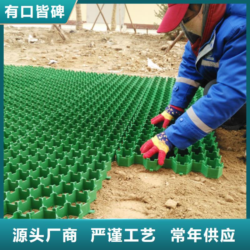 塑料植草格2024新行情价