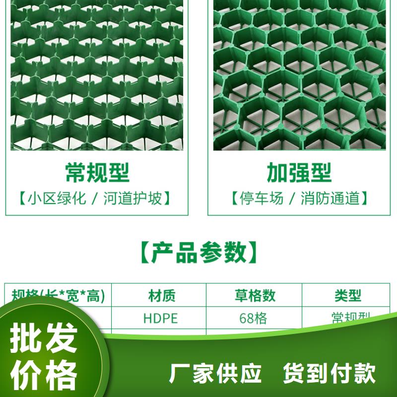 本土(朋联)塑料植草格型号全-新品发售