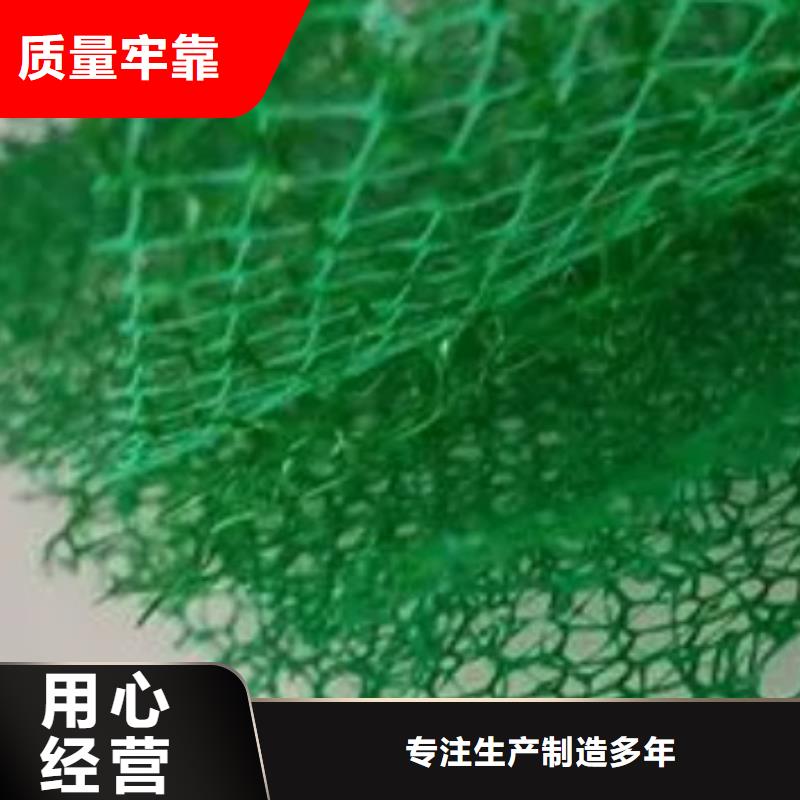 三维植被网水泥化粪池货源足质量好