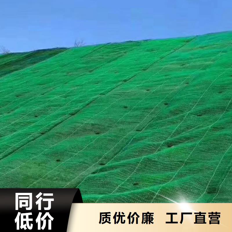 三维植被网型号