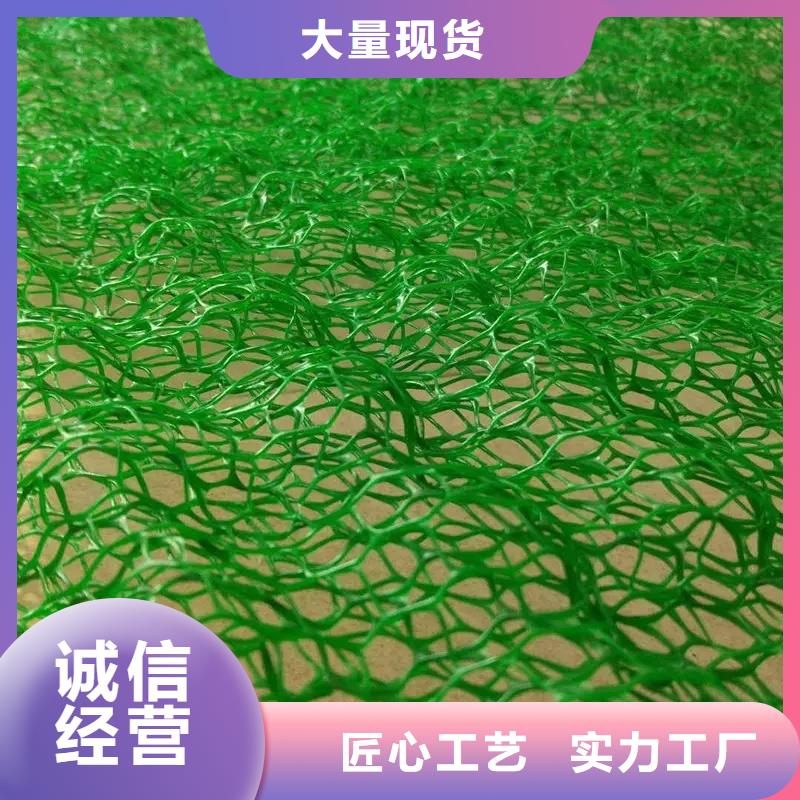 三维植被网【防护虹吸排水收集系统】用好材做好产品