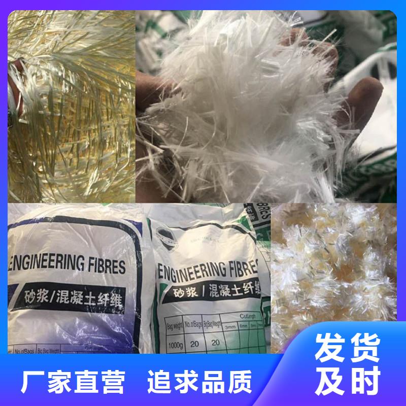 pp纤维最新价格