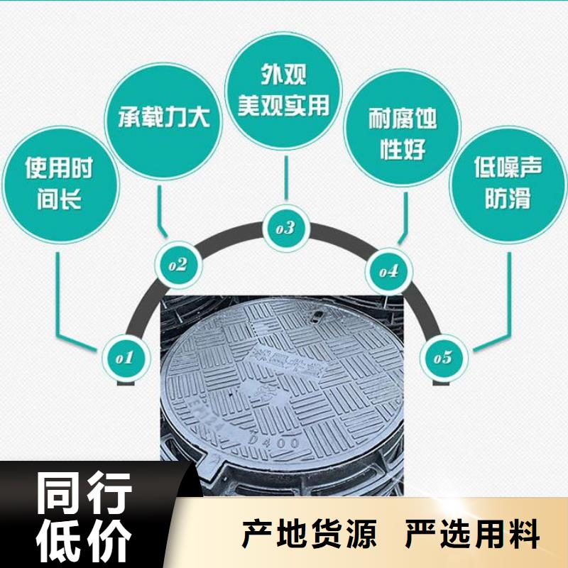 球墨铸铁单片支持定制