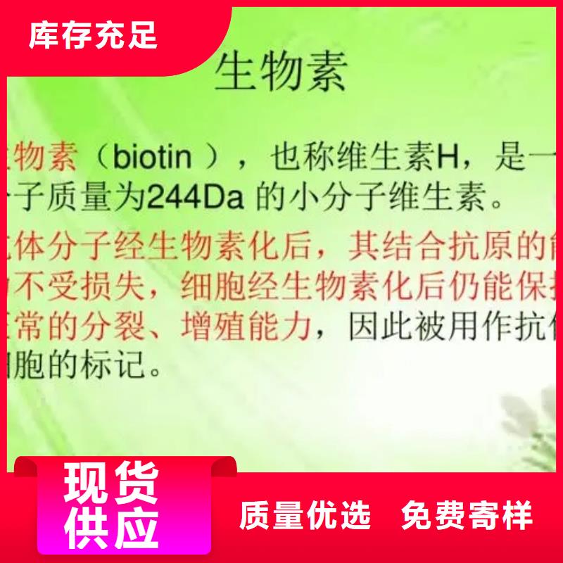 维成素B7批发