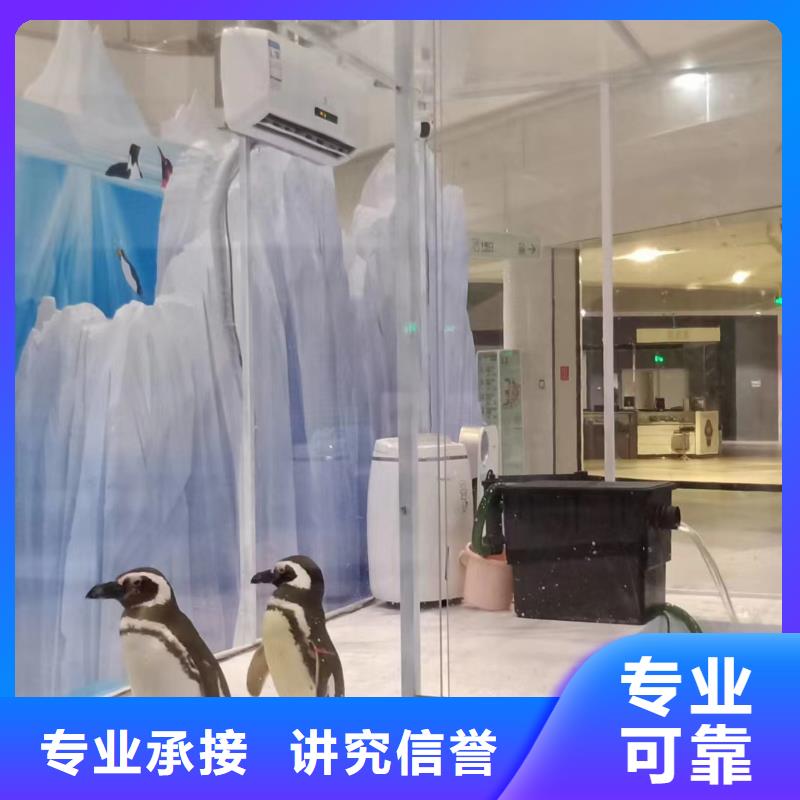 海洋展租赁