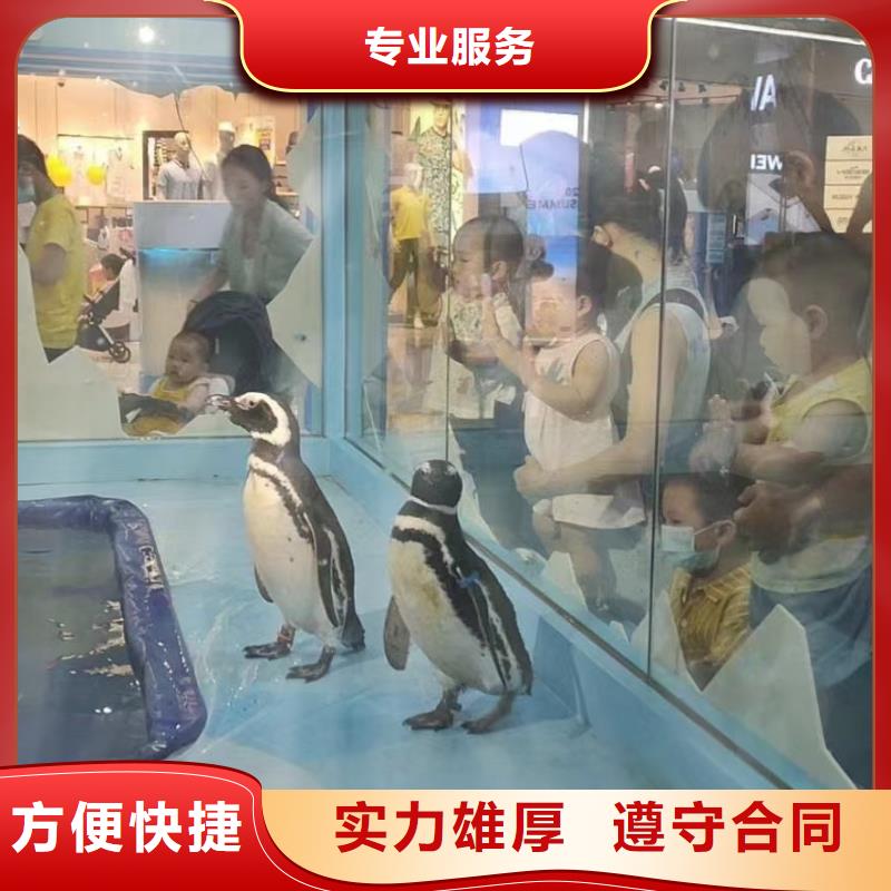 海洋生物展租赁