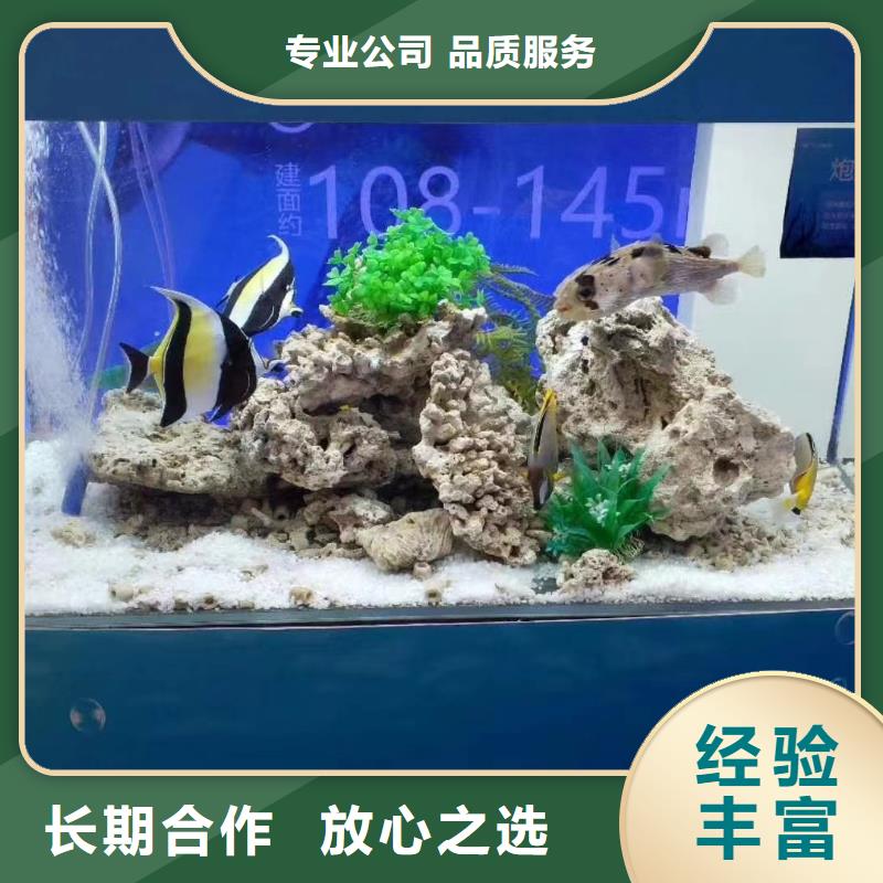 出租海洋生物展诚信厂家