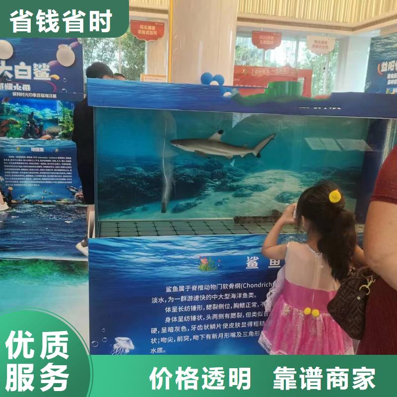 海洋生物展租赁