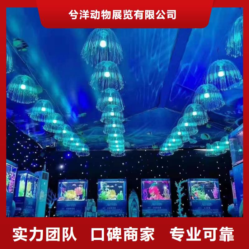 海洋生物展出租公司活动方案