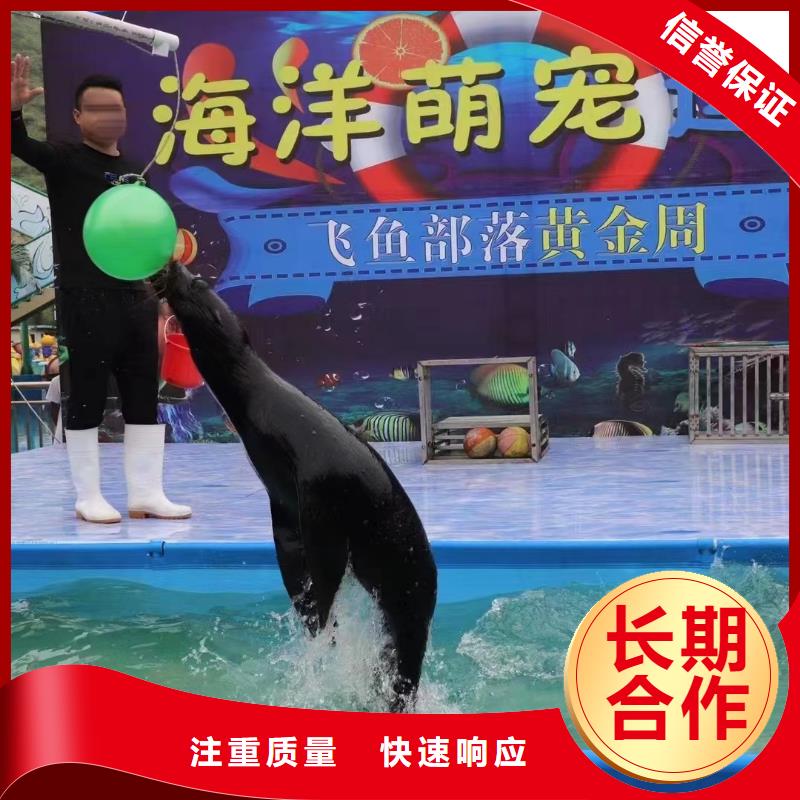 海洋主题动物表演-【水族海洋展】高品质