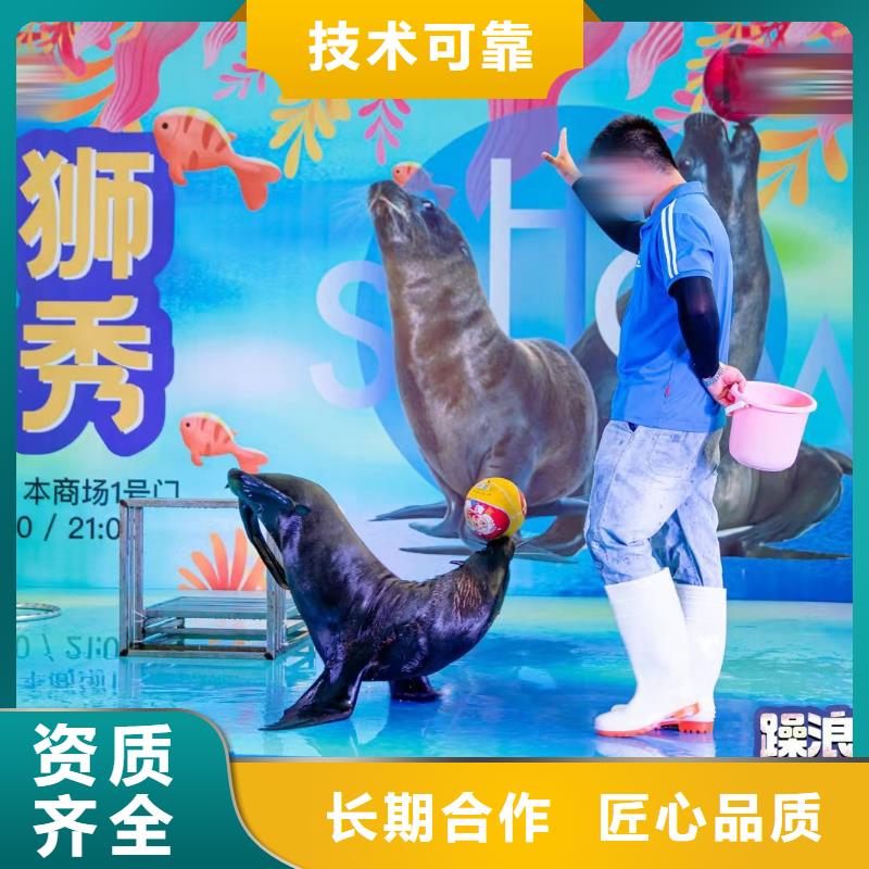 哪有出租海洋展的联系我们