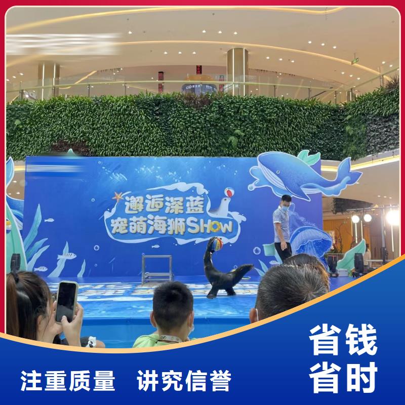 海洋生物展租赁