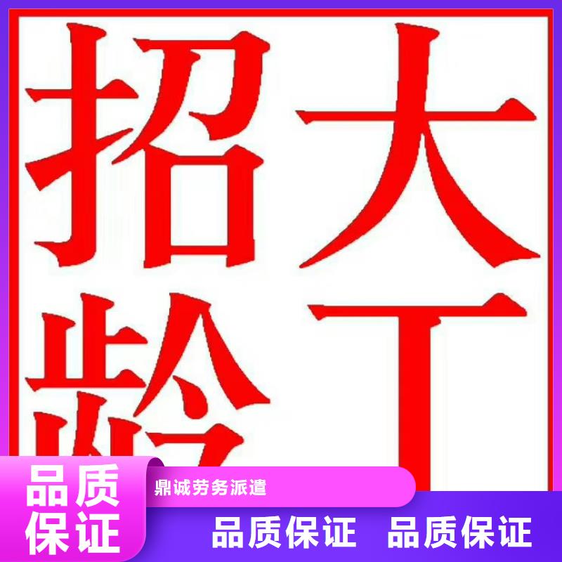 佛山市乐从镇临时工派遣来厂考察