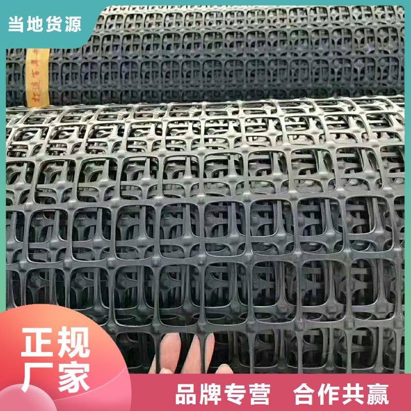 双向塑料土工格栅型号齐全