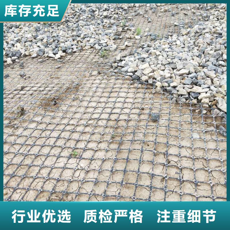 双向塑料土工格栅型号齐全